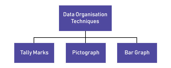 Organizing Data