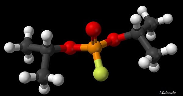 Molecule