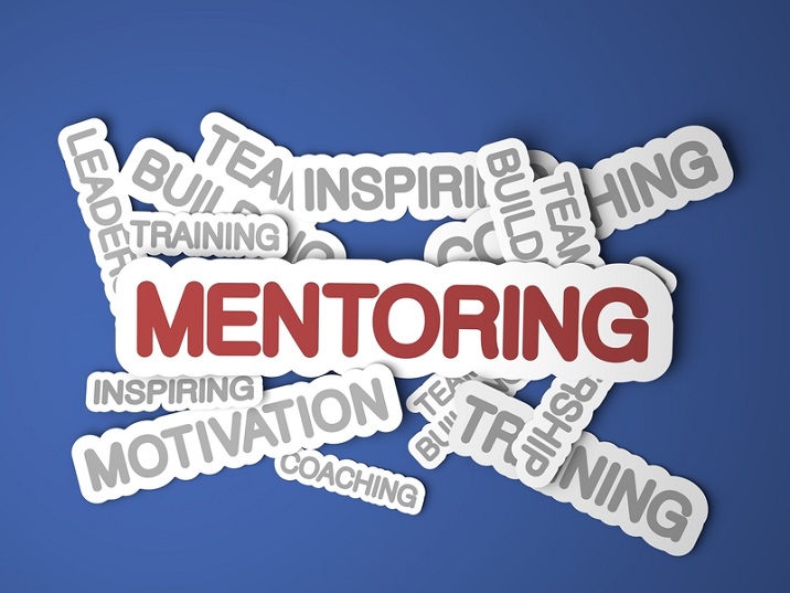 Mentoring Process