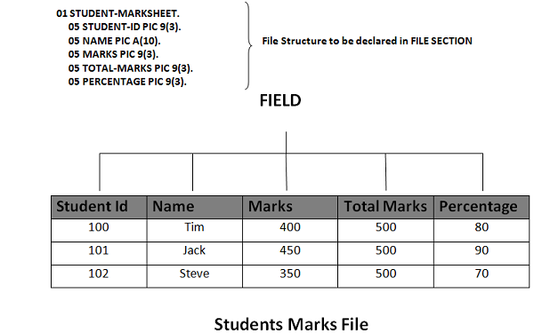 Program Structure