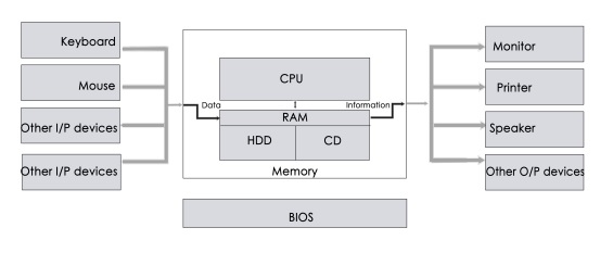 Computer Hardware Architecture