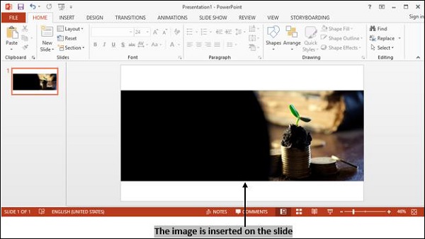 Image Inserted on Slide