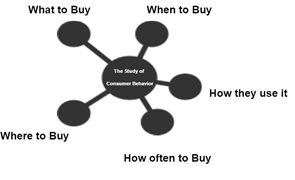 Study of Consumer Behavior