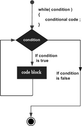 while loop in C