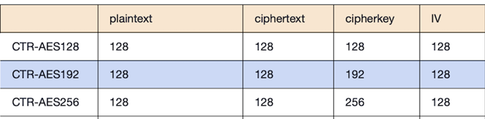 CTR Mode bit-width