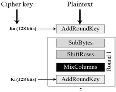 First Round Process