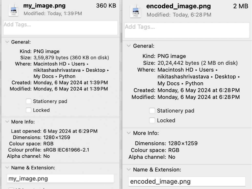 Image Steganography Output