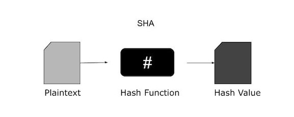 SHA Algorithm