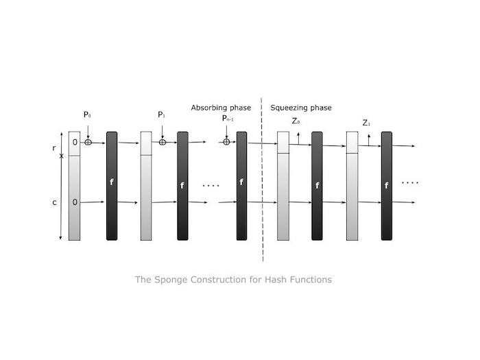 Sponge Construction