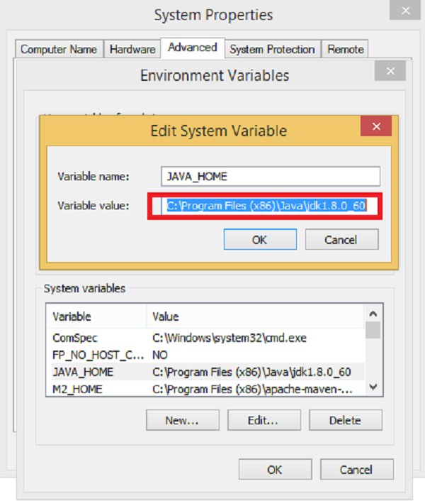 Environment Variable