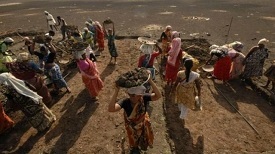 MGNREGA Scheme