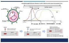 Active Virosome Vaccine Production