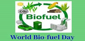 World Biofuel Day