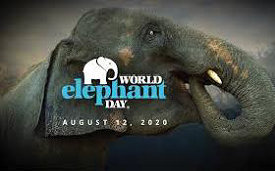 World Elephant Day