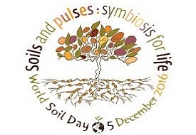 World Soil Day