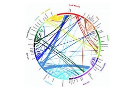 International Migration