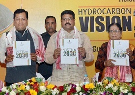 Hydrocarbon Vision 2030