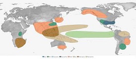 EL Nino Temperature