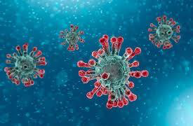 Corona Virus