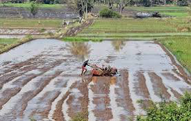 Focus on Farmer’s