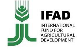 IFAD