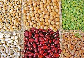 World Pulses Day