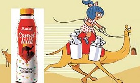 Amul Camel Milk