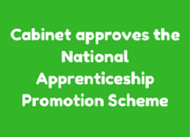 National Apprenticeship Promotion Scheme