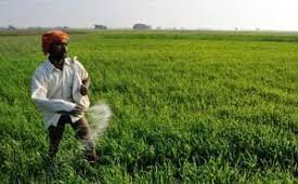 Fertiliser Subsidy