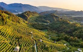 Italy's Prosecco Hills