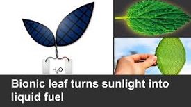 Bionic Leaf