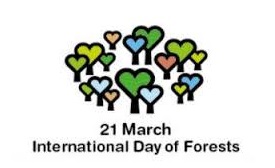 International Forest Day