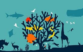 World Wildlife Day