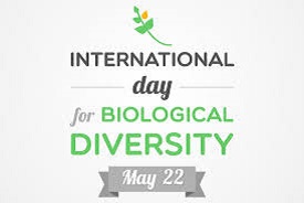 Biological Diversity