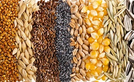 Food Grains Production