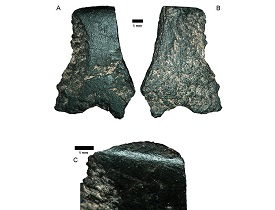 Ground-edge Stone Axe