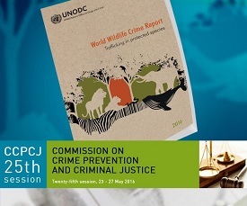 UNODC