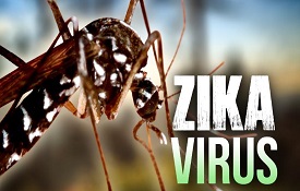 Zika