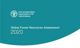 Global Forest Resources Assessment