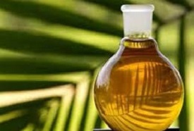 Edible Oils