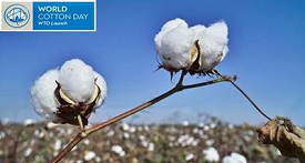 World Cotton Day