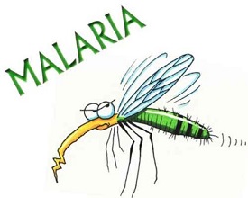 Malaria