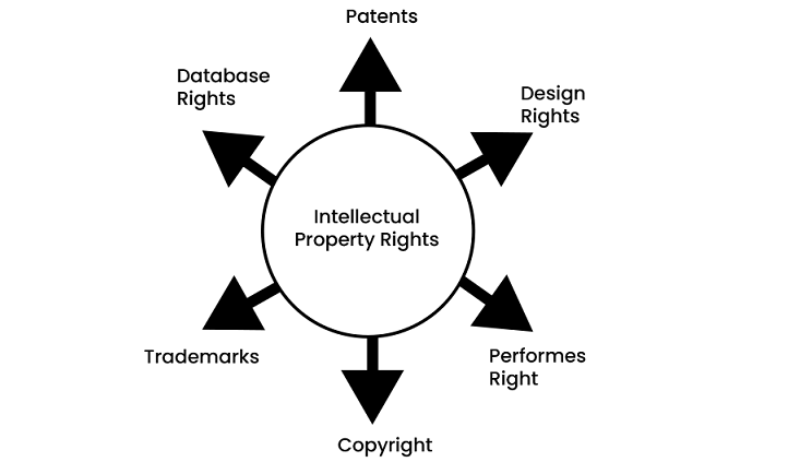 Intellectual Property Rights