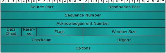 TCP Header