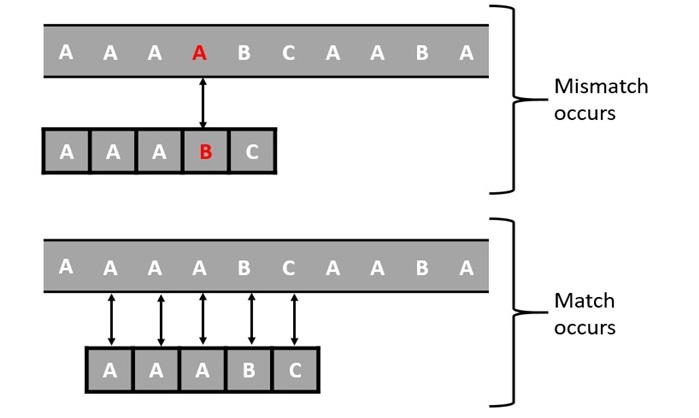 KMP Solution