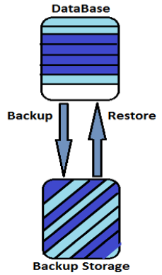 Database Backup