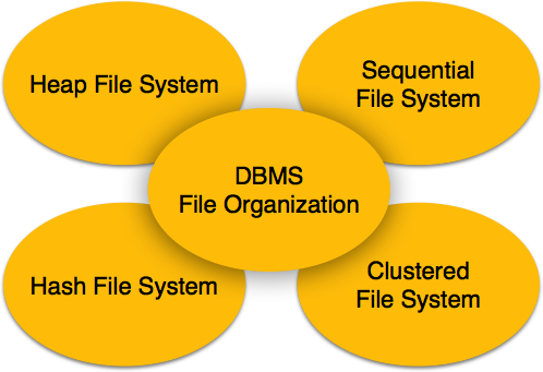 File Organization