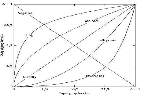 Gray Level Transformation