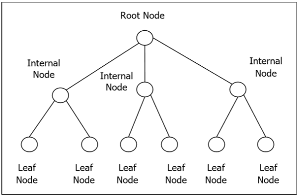 A Rooted Tree