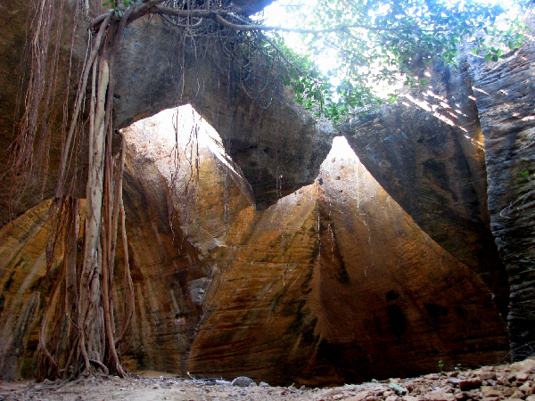 Naida Caves